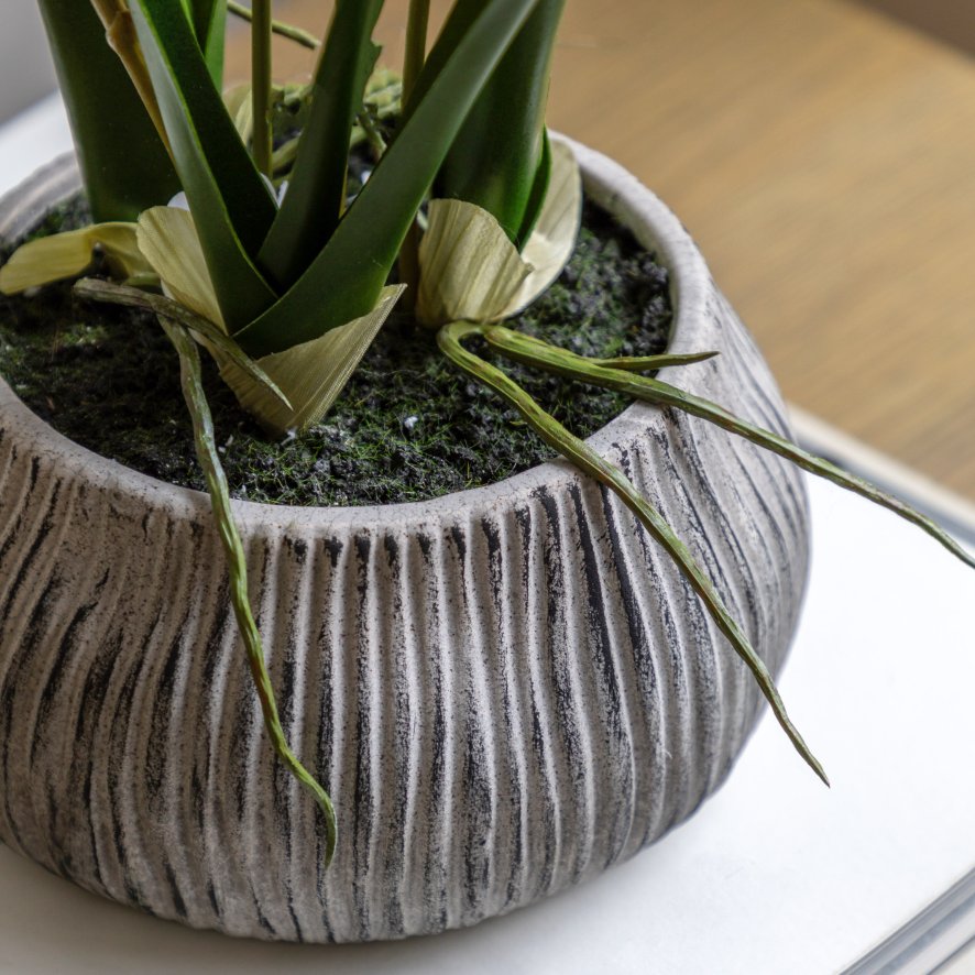 Gallery Direct Faux Plants - Orchid White in Low Ceramic Pot