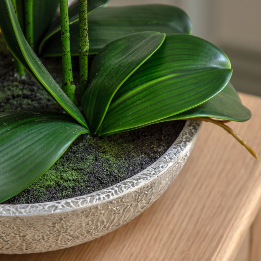Gallery Direct Faux Plants - Oversized Orchid in Cement Pot White
