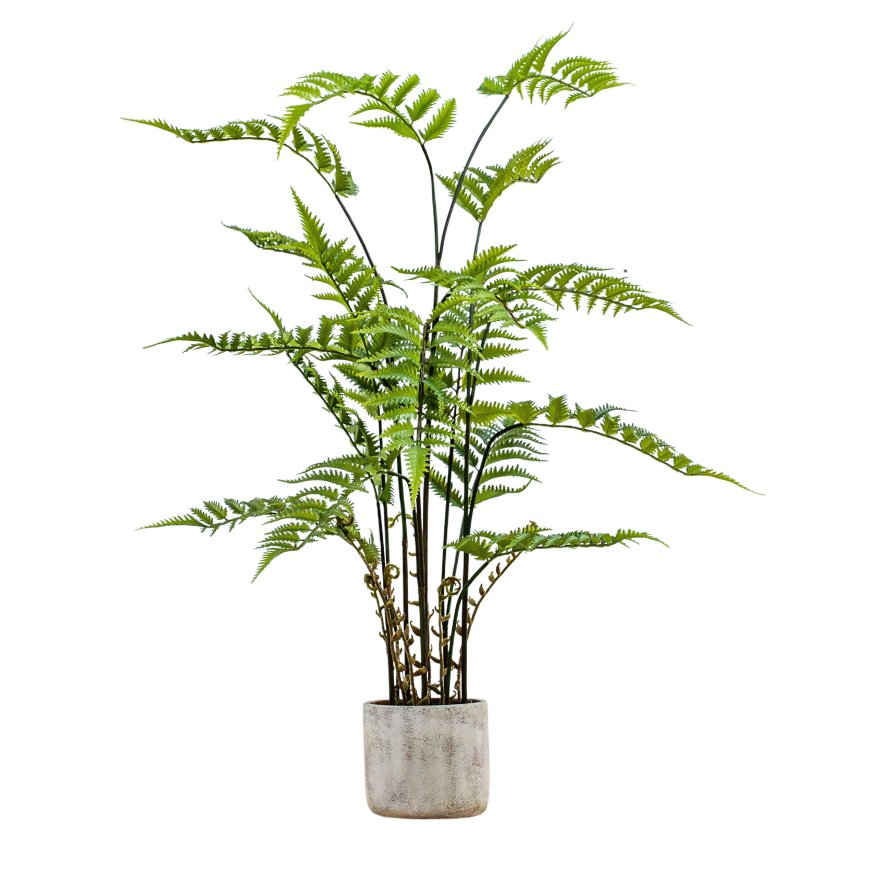 Gallery Direct Faux Plants - Potted Fern in Cement Pot H