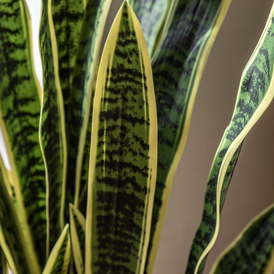 Gallery Direct Faux Plants - Potted Sansevieria Plant 4ft