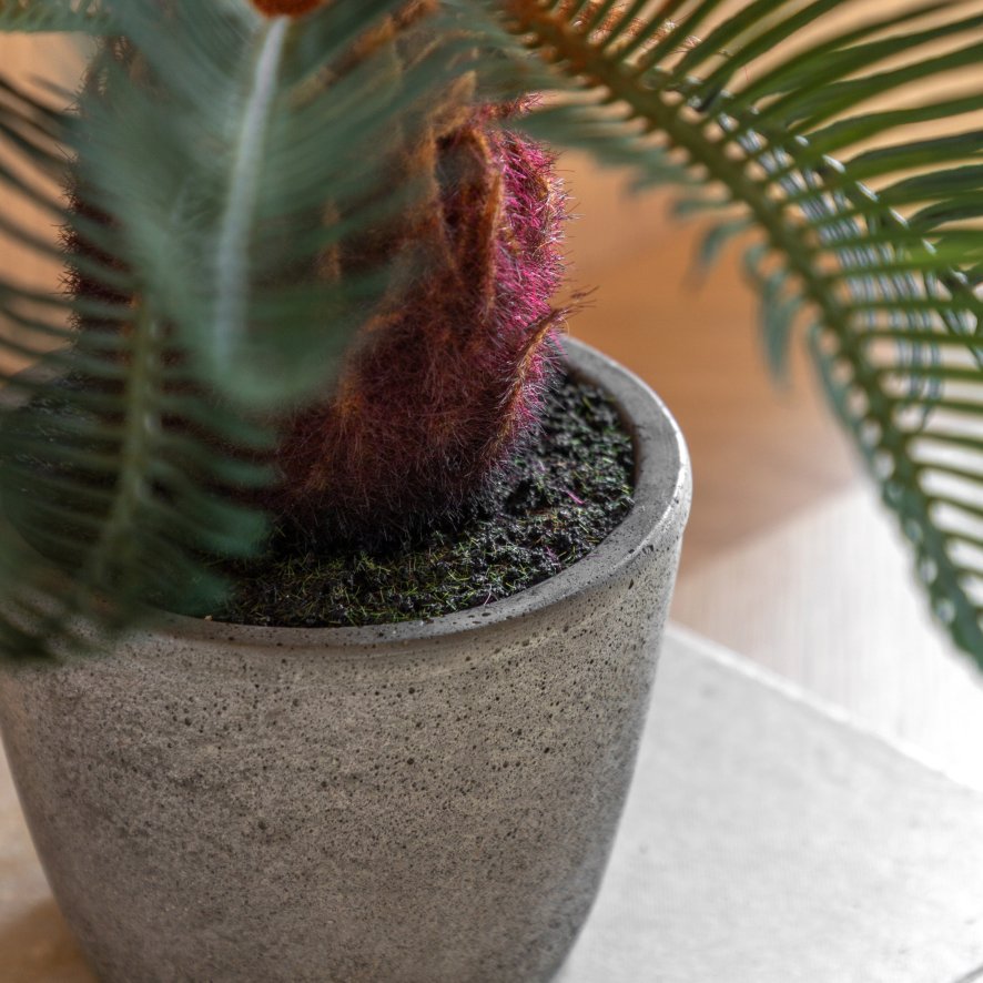 Gallery Direct Faux Plants - Wide Palm in Concrete Pot