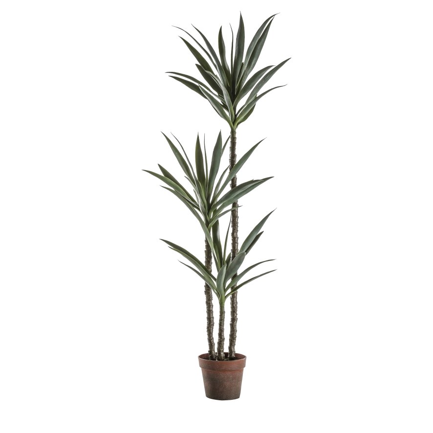 Gallery Direct Faux Plants - Yucca Tree w/3 Heads 600x
