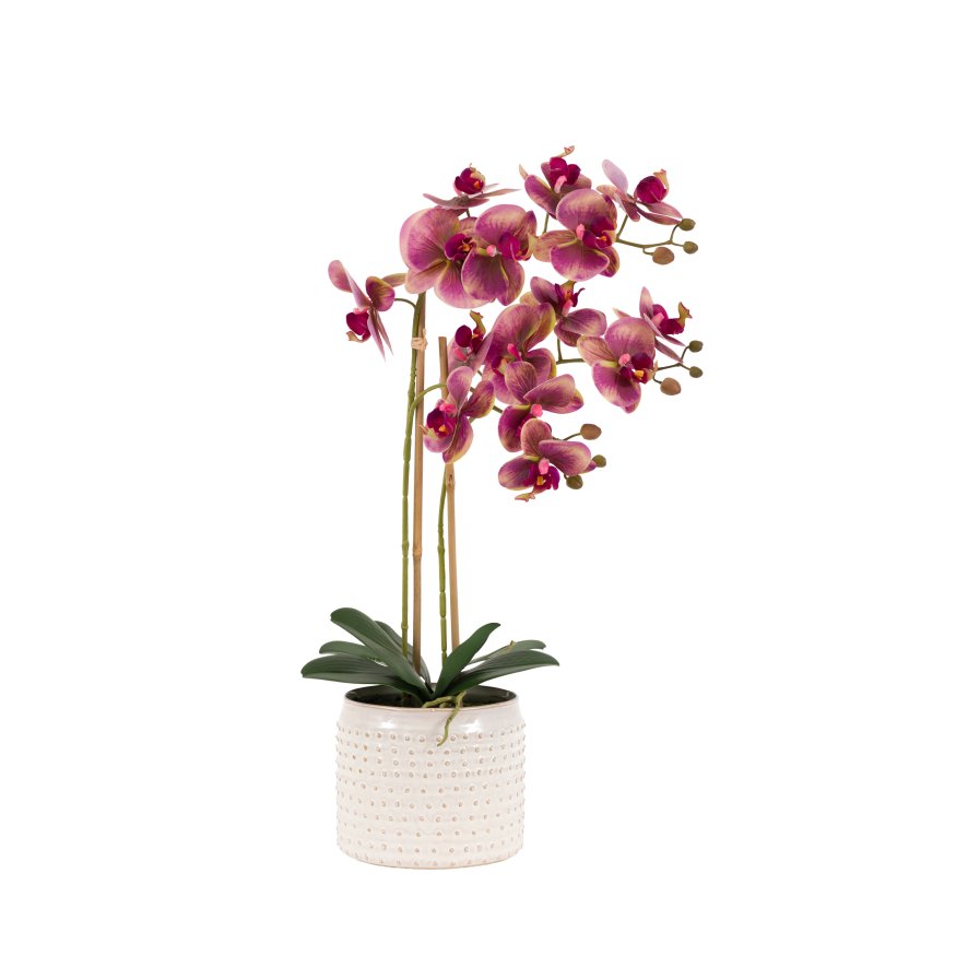 Gallery Direct Faux Plants - Orchid in Moss Ceramic Dot Pot Pink