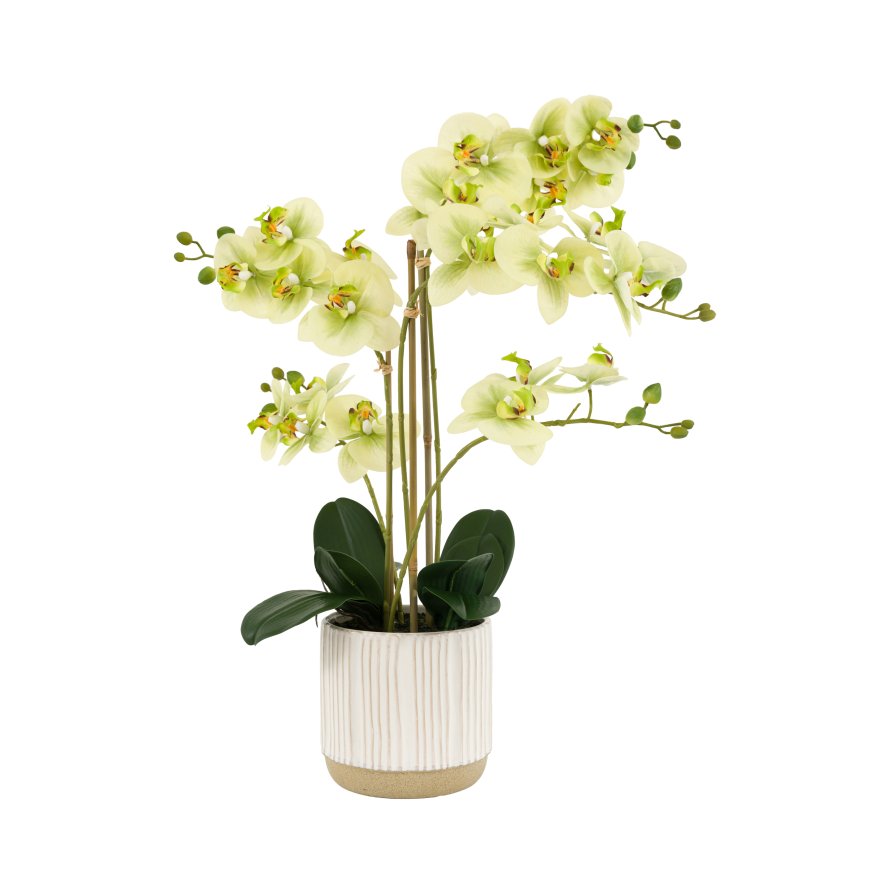 Gallery Direct Faux Plants - Orchid in White Ribbed Ceramic Pot
