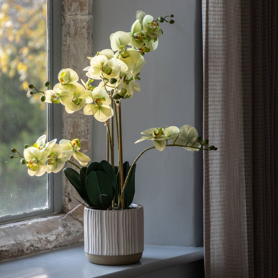 Gallery Direct Faux Plants - Orchid in White Ribbed Ceramic Pot