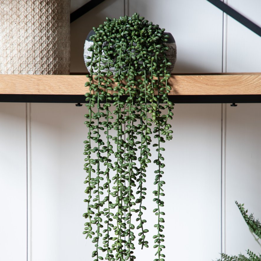 Gallery Direct Faux Plants - String of Pearls in Soil
