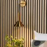 Dar Lighting Dar - Ragnar Pendant/Wall Light Natural Brass