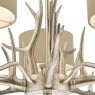 Laura Ashley Laura Ashley - Mulroy 5lt Antler Chandelier Champagne With Shades