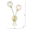 Dar Lighting Dar - Avari 2 Light Wall Light Satin Brass Glass