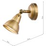 Dar Lighting Dar - Nathaniel Single Wall Spotlight Aged Brass