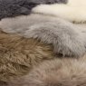 Asiatic Carpets Ltd Sheepskins - Single White Rug