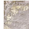 Asiatic Carpets Ltd Aurora - Lustre Rug