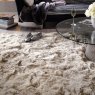 Asiatic Carpets Ltd Plush - Sand Rug