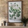 Gallery Direct Foliage and Blooms - Framed Art
