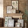 Gallery Direct Foliage and Blooms - Framed Art