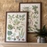 Gallery Direct Foliage Study - Framed Art Set of 2