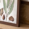 Gallery Direct Foliage Study - Framed Art Set of 2