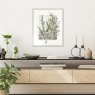 Gallery Direct Holly Fern - Framed Art
