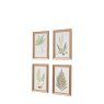 Gallery Direct Assorted Ferns - Framed Art Set of 4