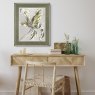 Gallery Direct Tulip Bloom - Framed Art