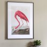 Gallery Direct Wading Flamingo - Framed Art
