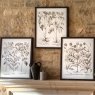 Gallery Direct Evergreen - Framed Art Set of 3