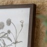 Gallery Direct Evergreen - Framed Art Set of 3