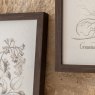 Gallery Direct Evergreen - Framed Art Set of 3