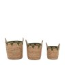 Gallery Direct Accessories - Elgon Baskets Natural Green (Set of 3)