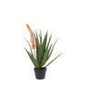Gallery Direct Faux Plants - Aloe Potted Plant with Orange Flower