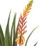 Gallery Direct Faux Plants - Aloe Potted Plant with Orange Flower