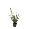Faux Plants - Aloe Potted Plant with White Flower
