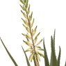 Gallery Direct Faux Plants - Aloe Potted Plant with White Flower