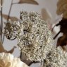 Gallery Direct Accessories - Dahlia Autumnal Bouquet Natural