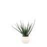 Gallery Direct Faux Plants - Faux Aloe Vera in Ceramic Pot