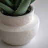 Gallery Direct Faux Plants - Faux Aloe Vera in Ceramic Pot