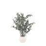 Gallery Direct Faux Plants - Faux Eucalyptus in Ceramic Pot Ivory