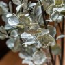 Gallery Direct Faux Plants - Faux Eucalyptus in Ceramic Pot Ivory