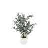 Gallery Direct Faux Plants - Faux Eucalyptus in Ceramic Pot Ivory