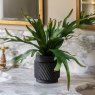 Gallery Direct Faux Plants - Faux Playycerium Multi Colour in Ceramic Pot