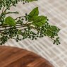 Gallery Direct Faux Flowers - Faux Stem Berry Foliage Green (12pk)
