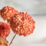 Gallery Direct Faux Flowers - Faux Stem Dahlia Orange (6pk)