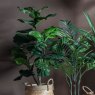 Gallery Direct Faux Plants - Fiddle Tree w/39 Leaves 580x