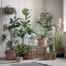 Gallery Direct Faux Plants - Kentia Palm Tree