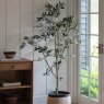 Gallery Direct Faux Plants - Olive Tree Large