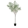 Gallery Direct Faux Plants - Olive Tree Large Green H