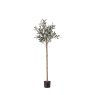 Gallery Direct Faux Plants - Olive Tree Medium