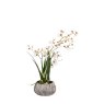 Gallery Direct Faux Plants - Orchid White in Low Ceramic Pot