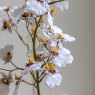 Gallery Direct Faux Plants - Orchid White in Low Ceramic Pot