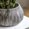 Gallery Direct Faux Plants - Orchid Yellow in Low Ceramic Pot